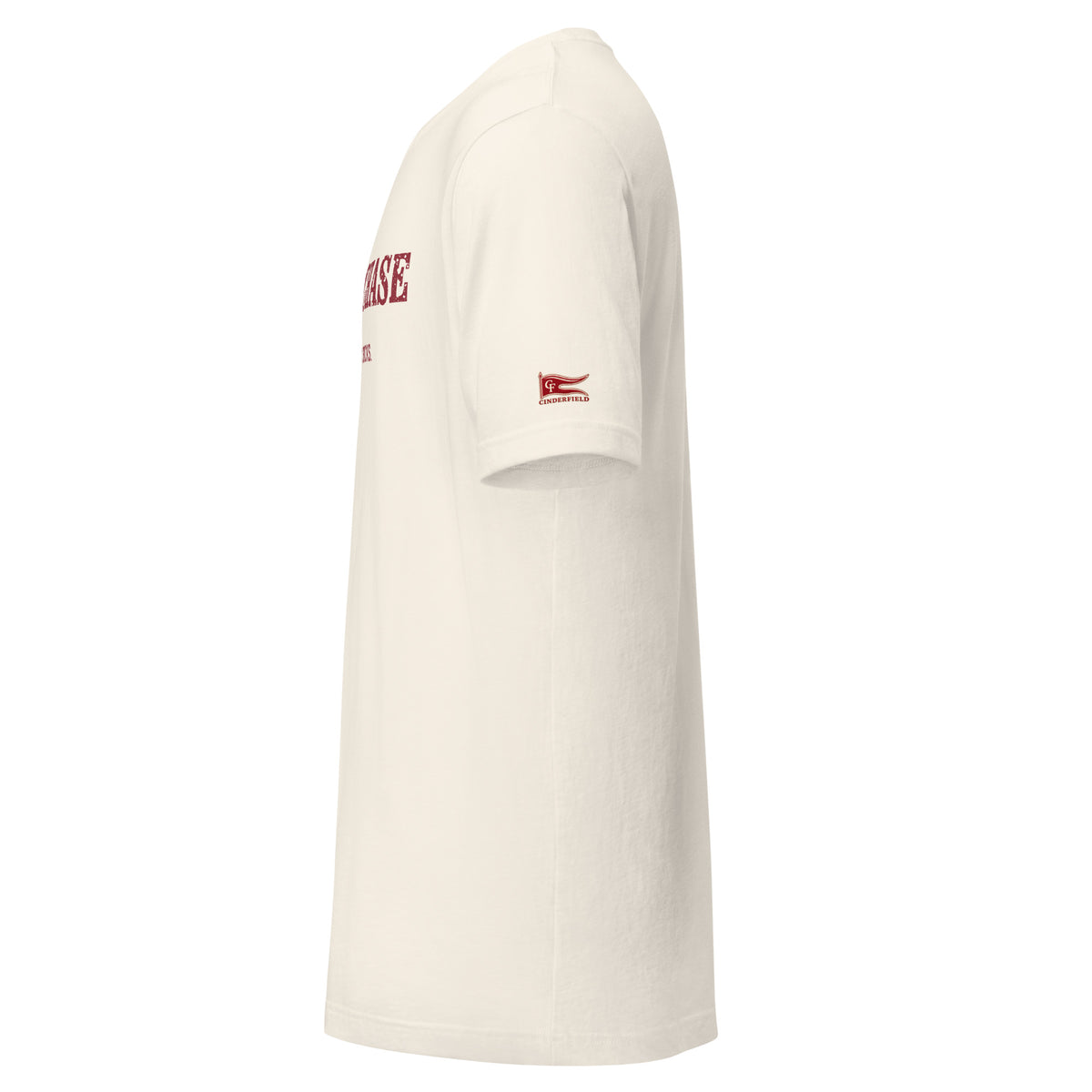 STEEPLECHASE, So Much for Dry Socks: Vintage White tee, left sleeve